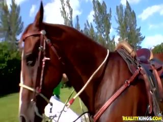 Krūtinga lotynų amerikietė equestrienne cynthia trenksmas dulkinimasis